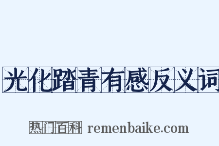 光化踏青有感反义词是什么意思的图片